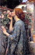 John William Waterhouse The Soul of the Rose or My Sweet Rose oil on canvas